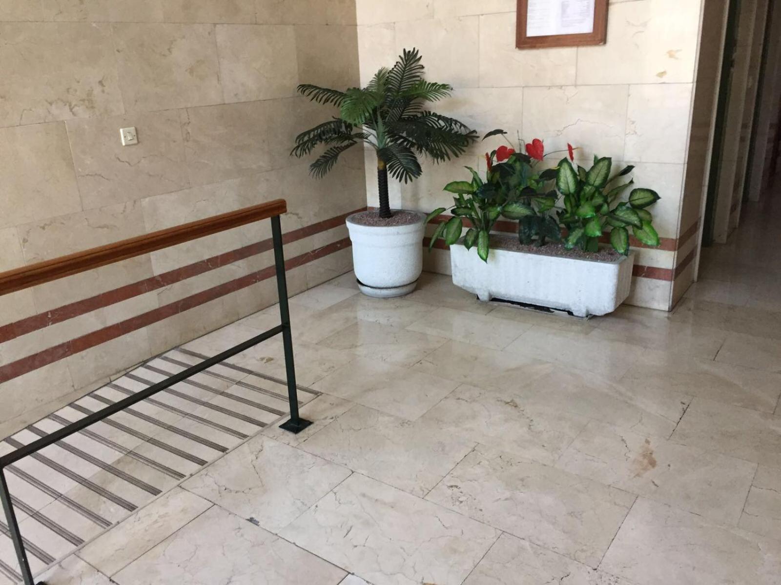 Alicante Postiguet Studios Ngoại thất bức ảnh